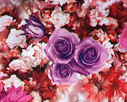 哪里學服裝數碼印花設計最好？